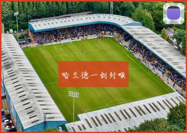 哈兰德一剑封喉