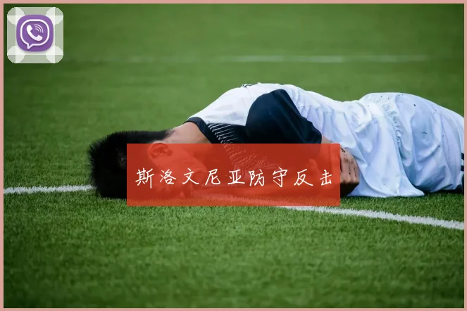 斯洛文尼亚防守反击