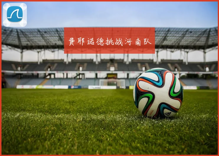 费耶诺德挑战河南队