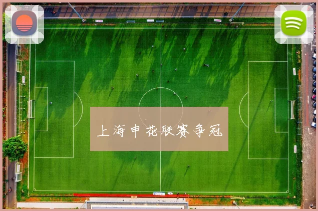 上海申花联赛争冠